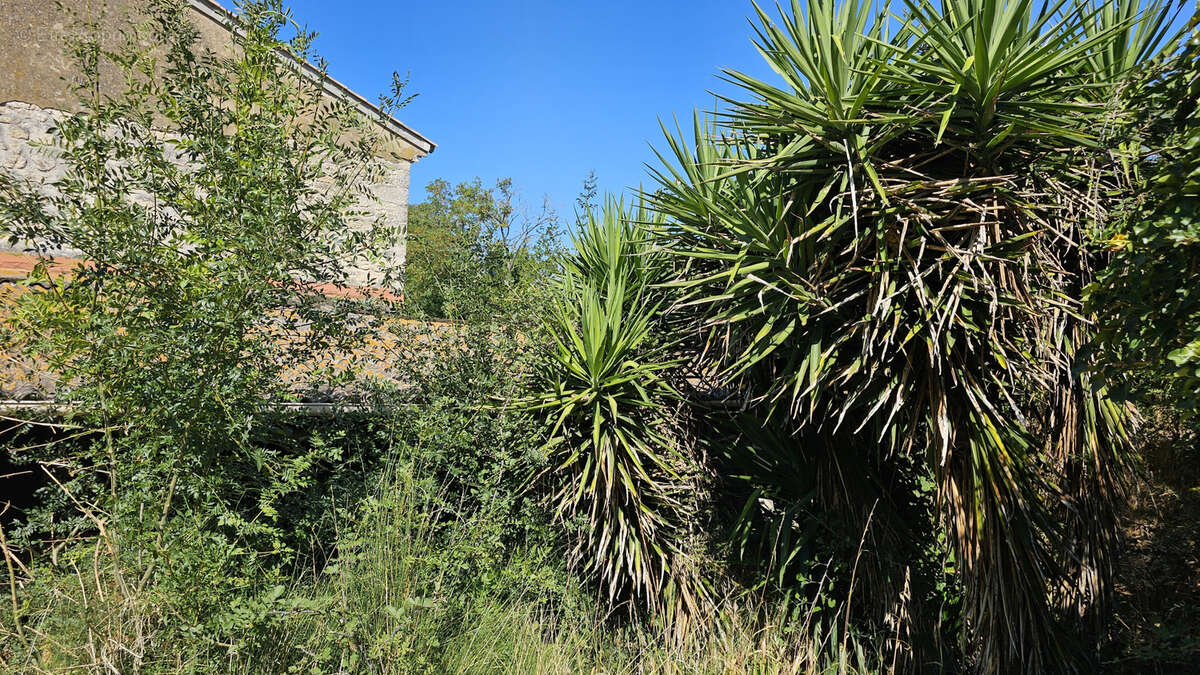 Maison à SAINT-GILLES