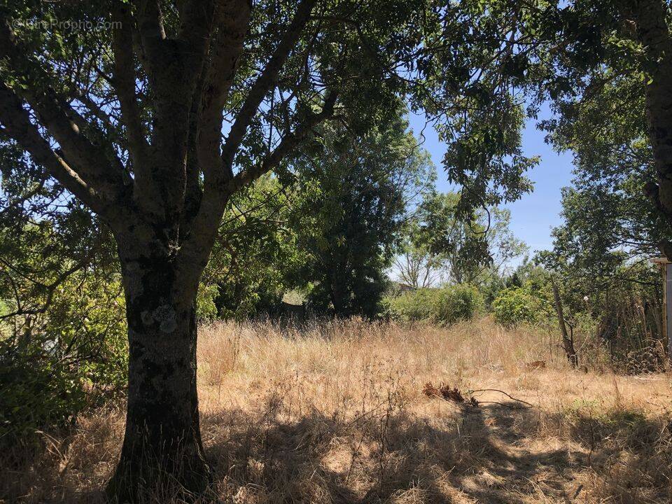 Terrain à JAU-DIGNAC-ET-LOIRAC
