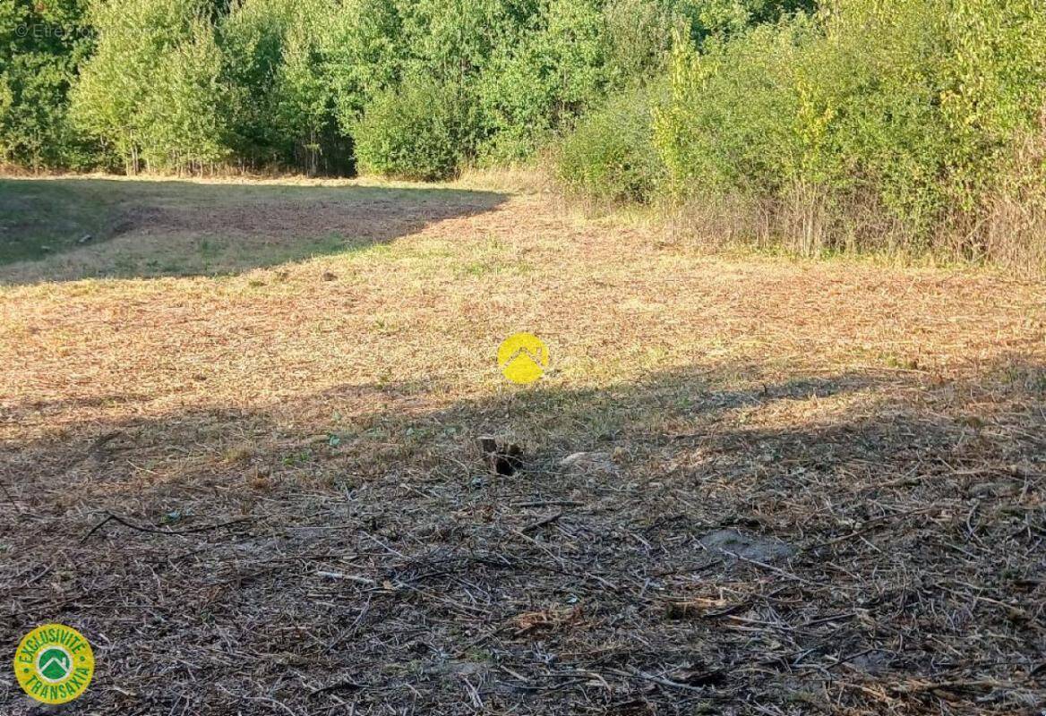 Terrain à NERIS-LES-BAINS