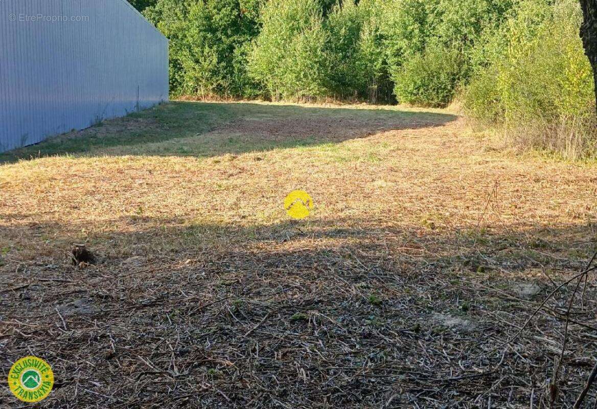 Terrain à NERIS-LES-BAINS