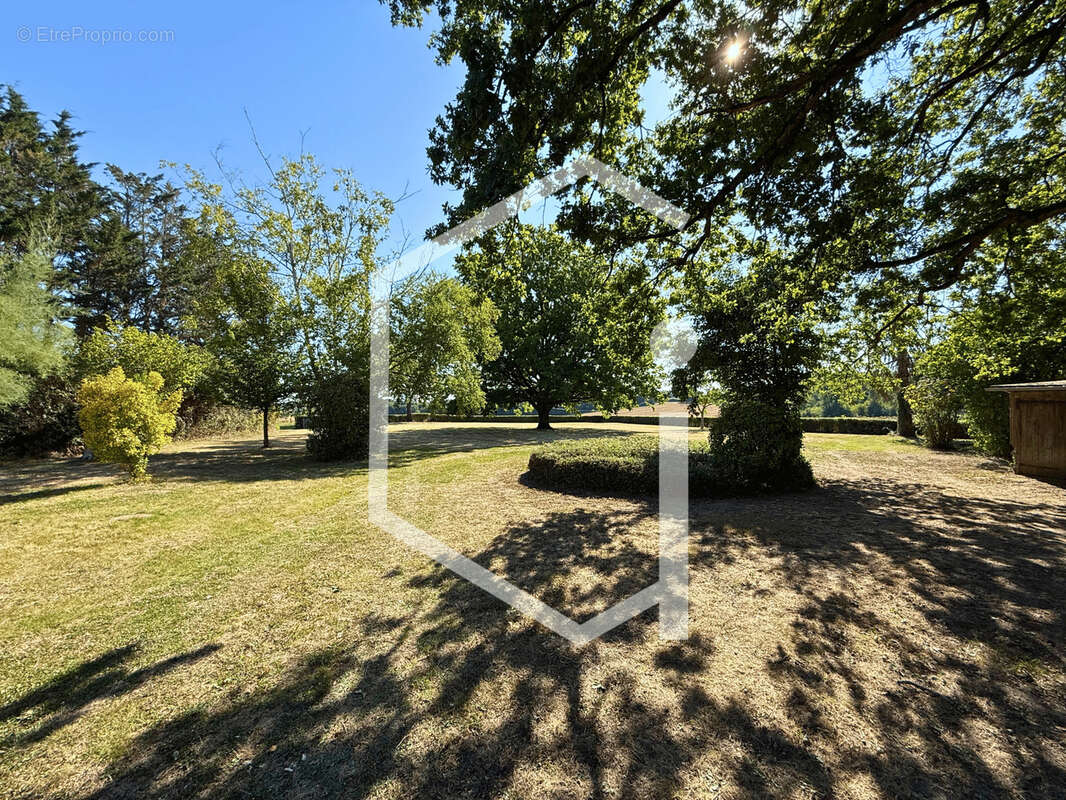 Maison à BELLEVILLE-SUR-LOIRE