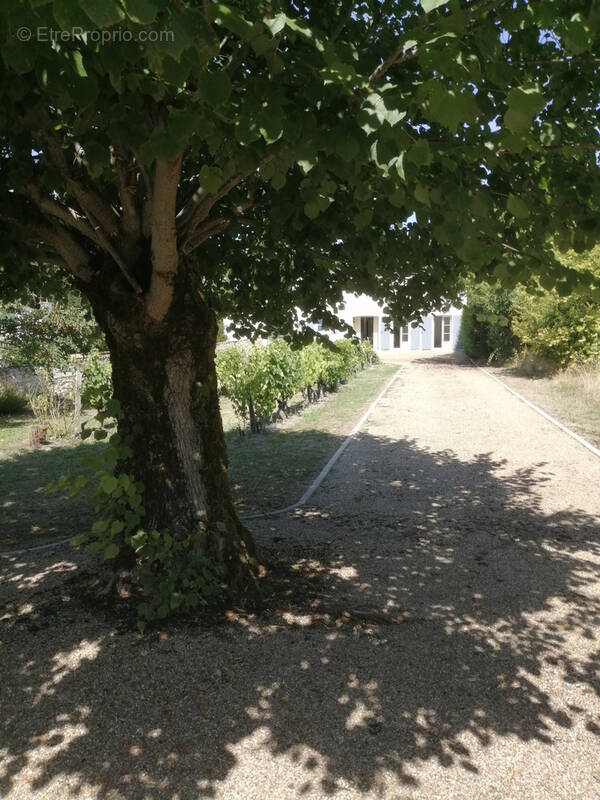 Maison à SAINT-FORT-SUR-GIRONDE