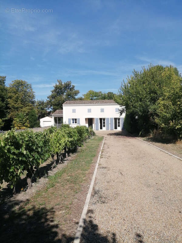 Maison à SAINT-FORT-SUR-GIRONDE
