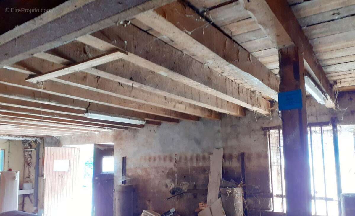 Maison à SAINT-FRONT