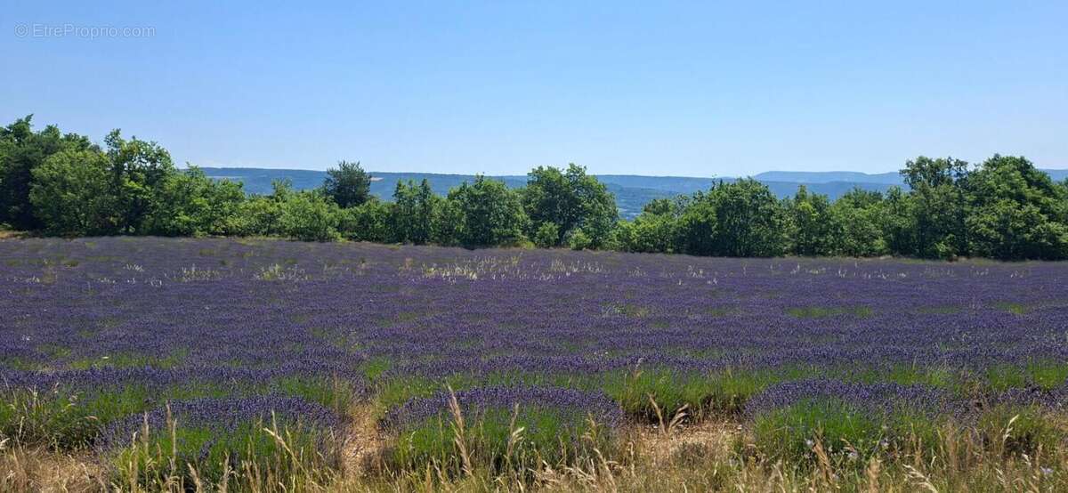 Maison à REVEST-DU-BION