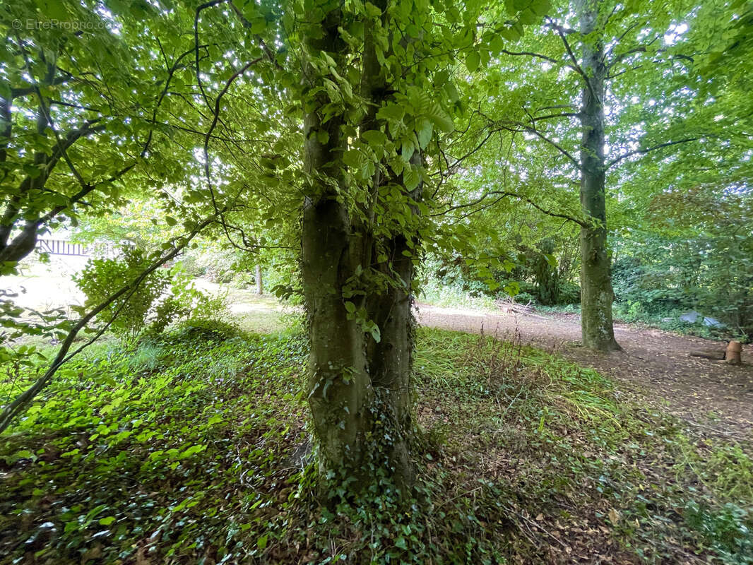 Maison à VILLERS-SUR-MER