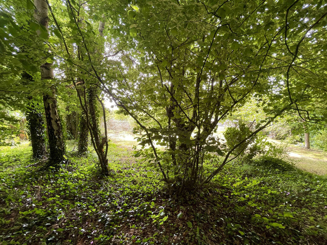 Maison à VILLERS-SUR-MER