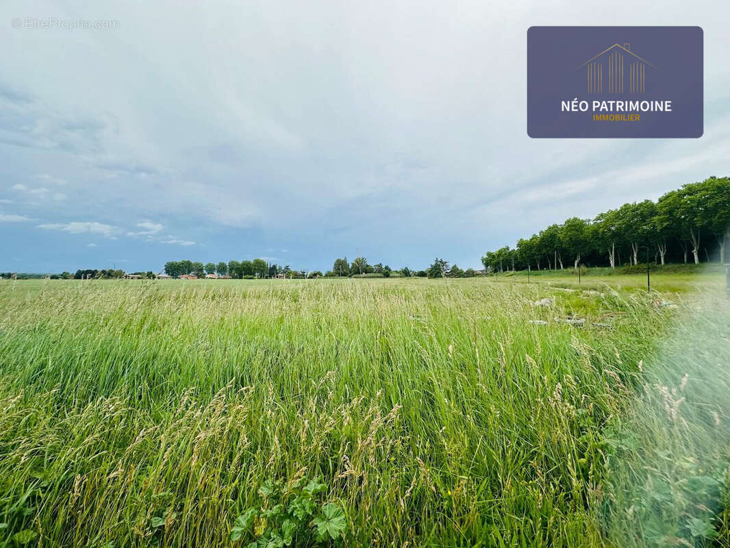 Terrains lotissement paysager - Terrain à LAYRAC-SUR-TARN