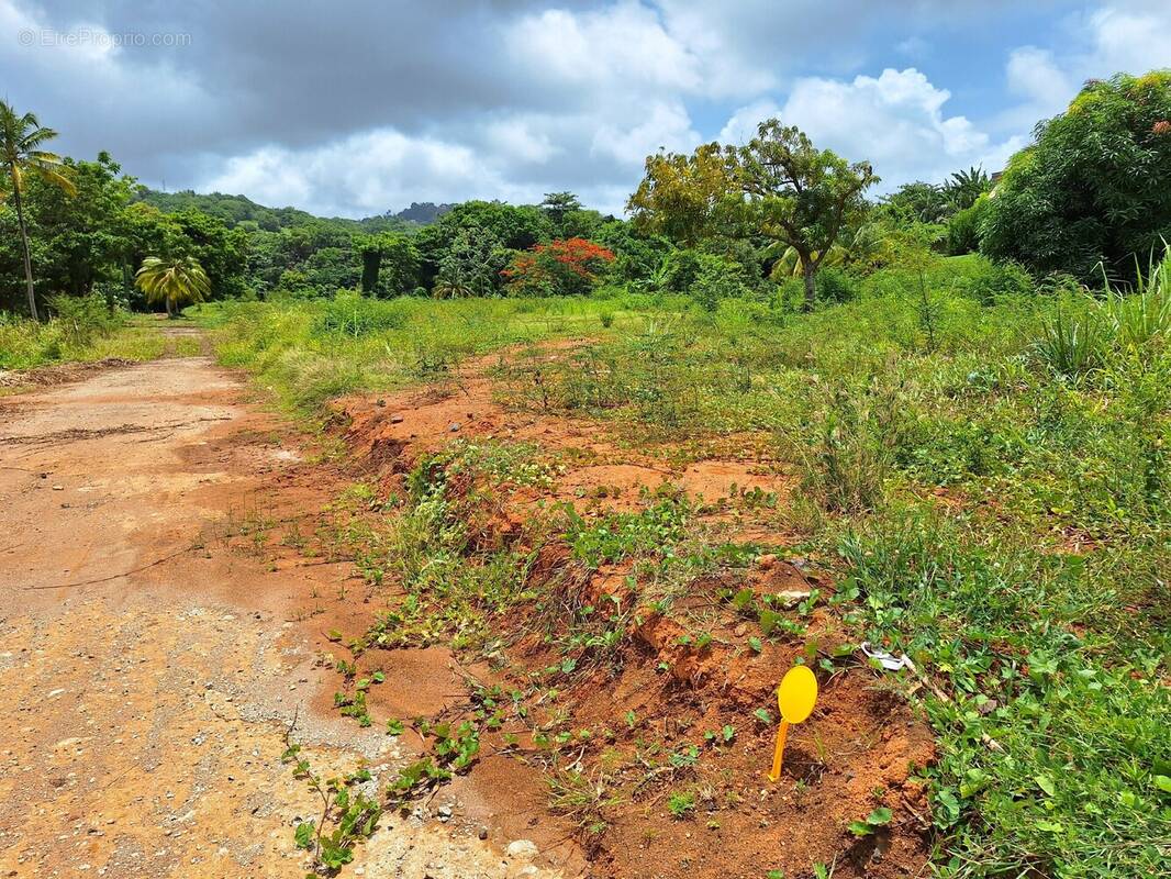 Terrain à LE ROBERT