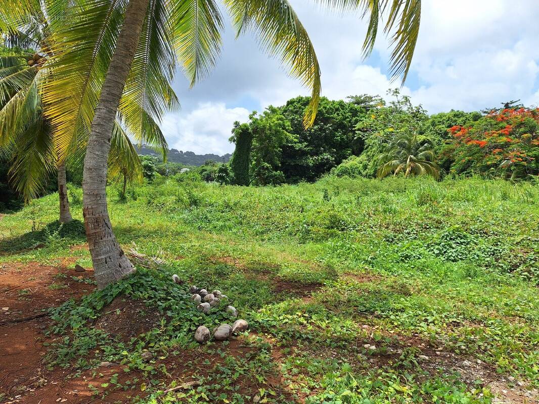 Terrain à LE ROBERT
