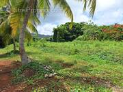 Terrain à LE ROBERT