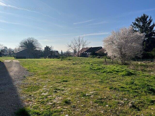 Terrain à MAXILLY-SUR-SAONE