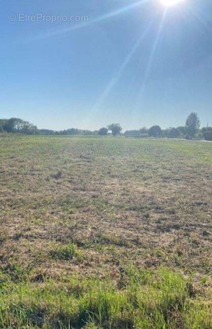 Terrain à CLENAY
