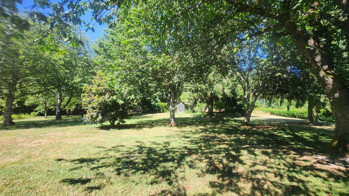 Photo 7 - Maison à SAINT-LEONARD-DE-NOBLAT