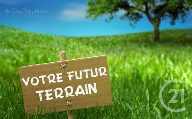 Terrain à SAINT-MARD