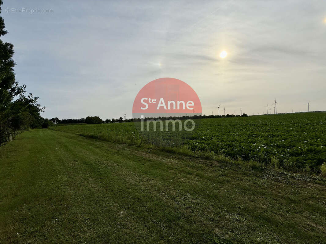 Photo 4 - Terrain à VERPILLIERES