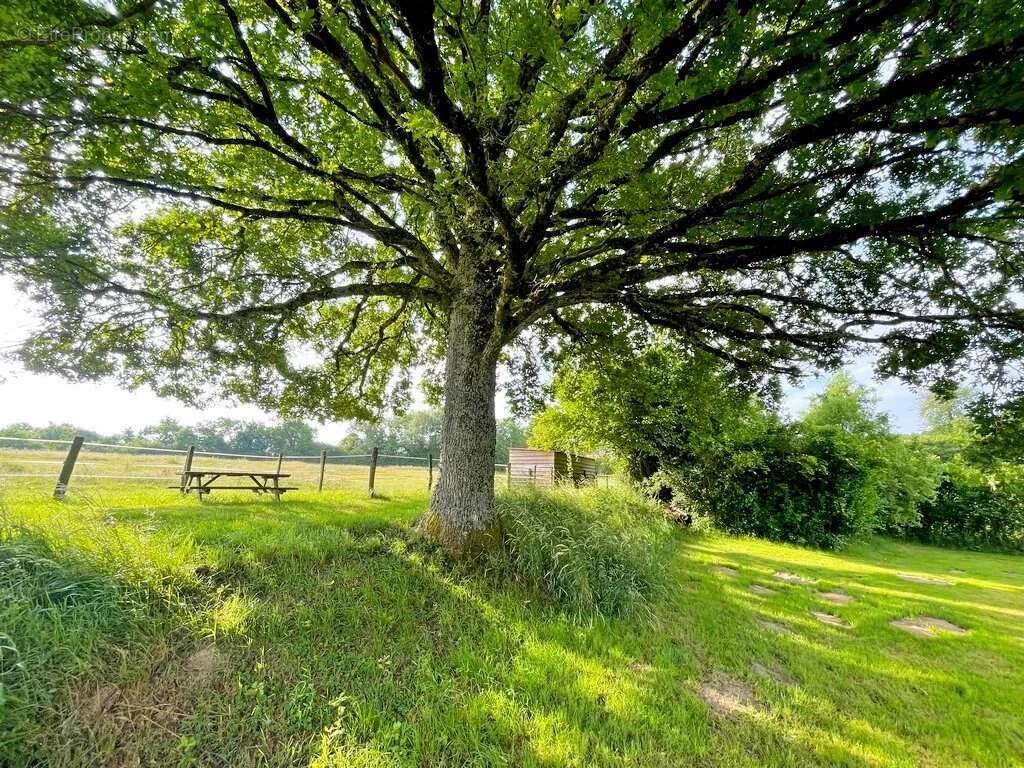 Maison à SAINT-LEGER-VAUBAN