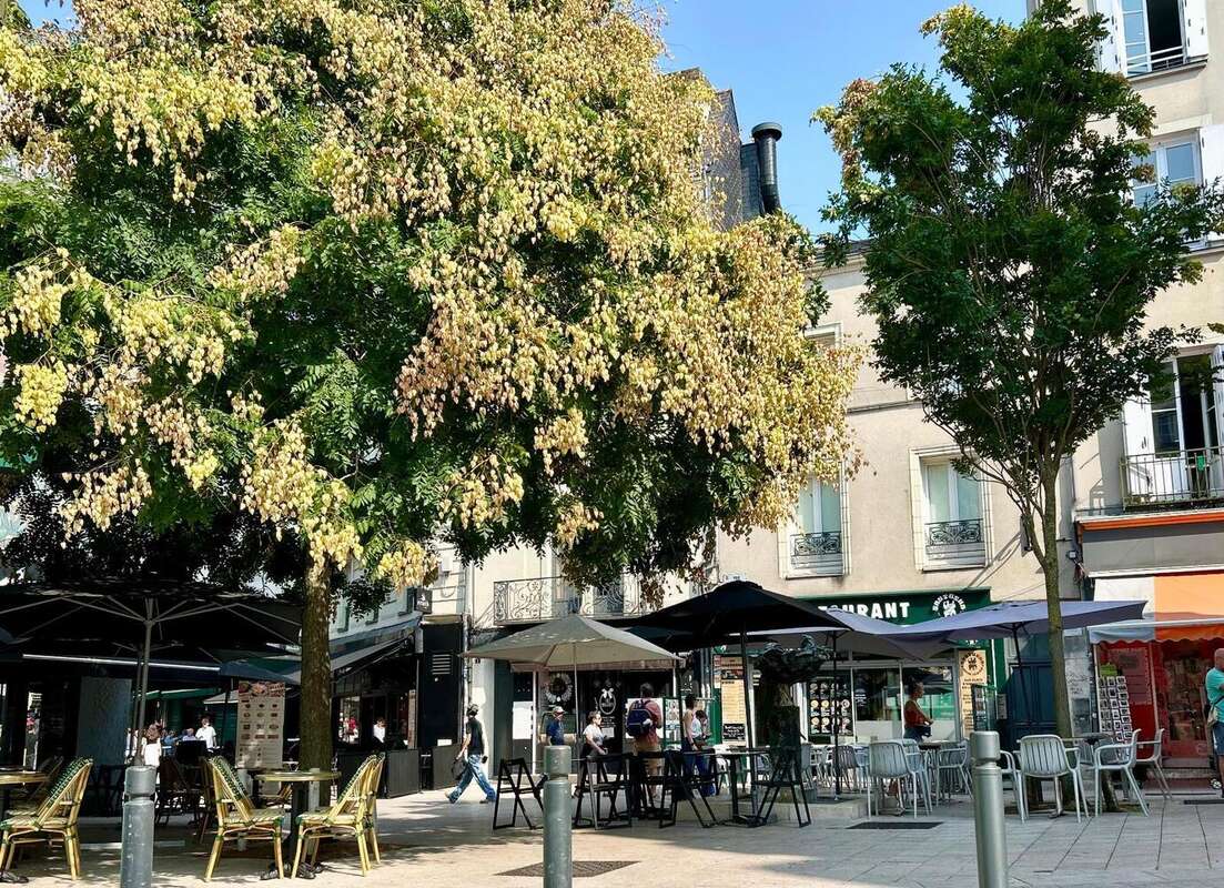   - Appartement à ANGERS