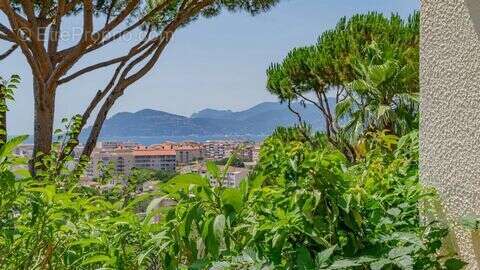 Maison à CANNES