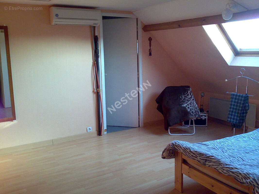 Commerce à COUR-SUR-LOIRE