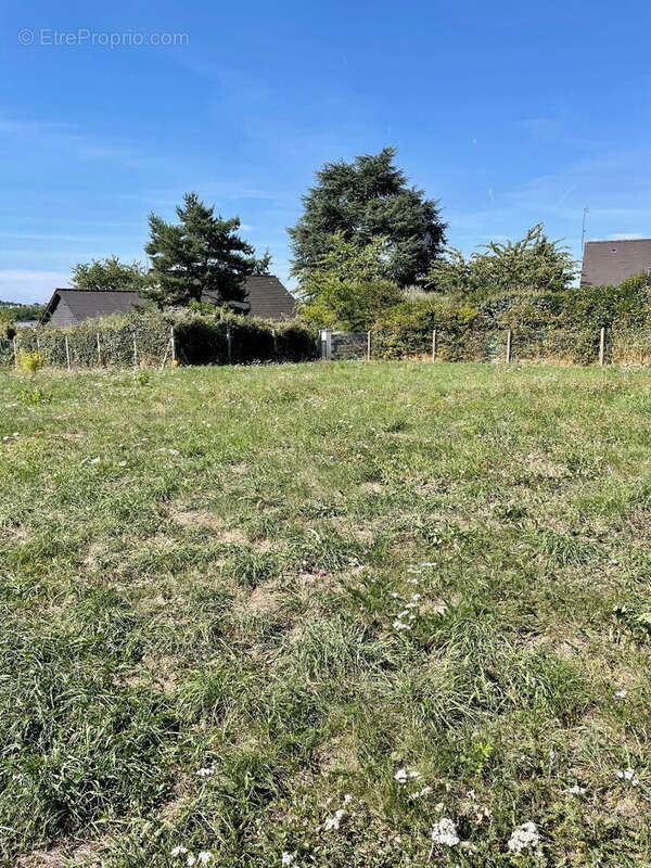 Terrain à AMBOISE