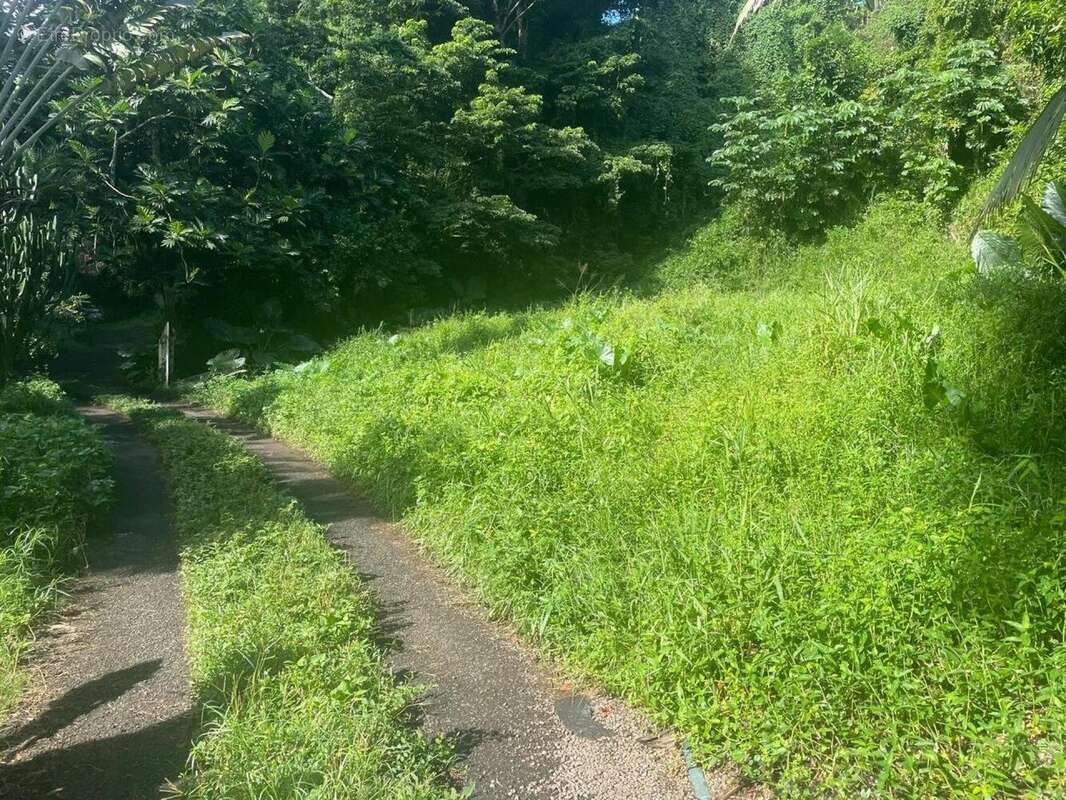 Photo 3 - Terrain à LES TROIS-ILETS