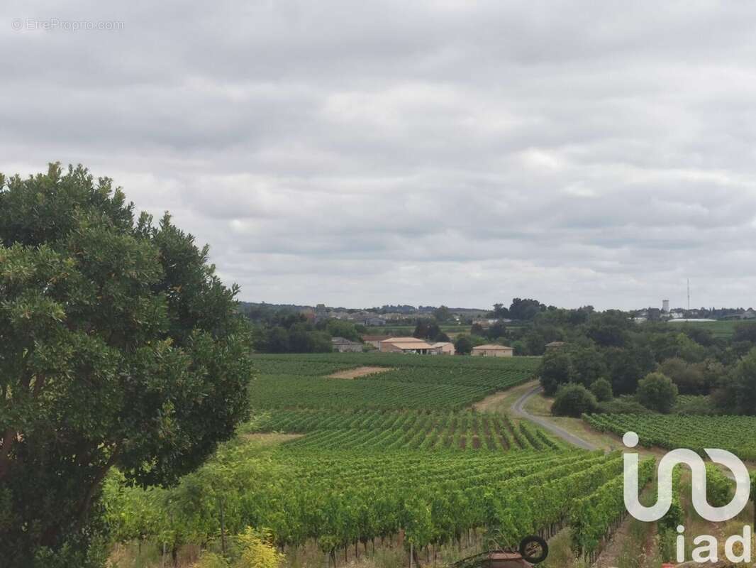 Photo 3 - Maison à SAINT-GENES-DE-BLAYE