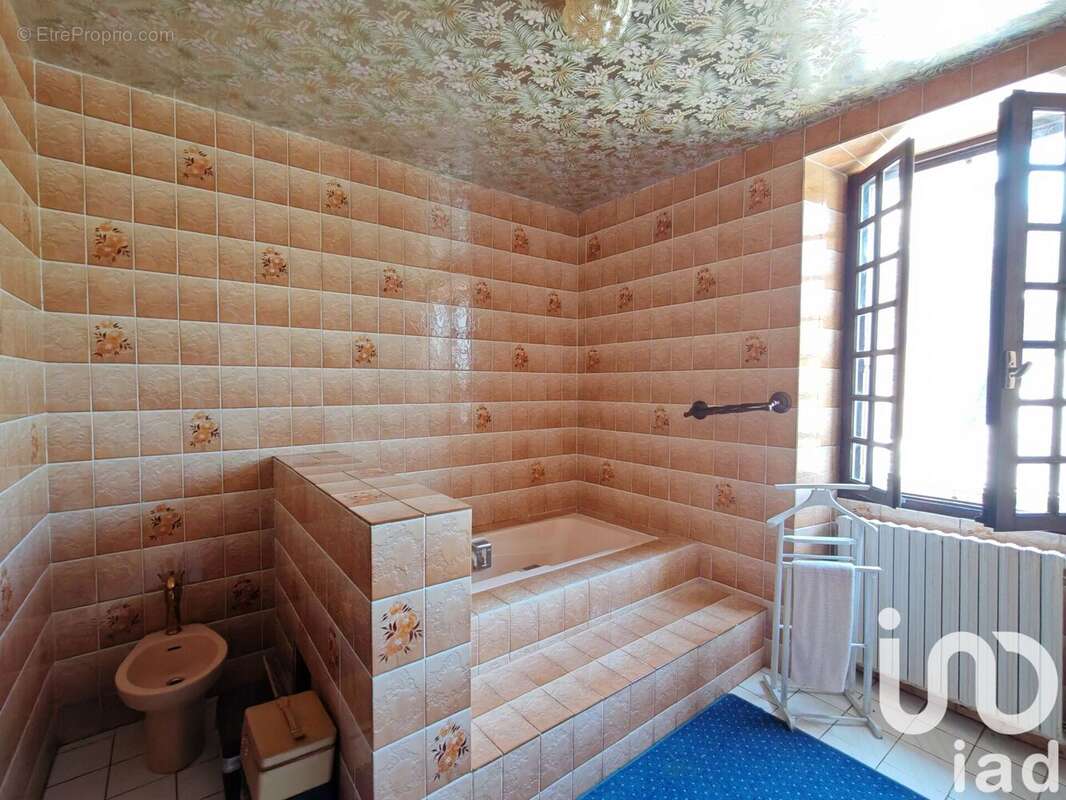 Photo 9 - Maison à MAURON