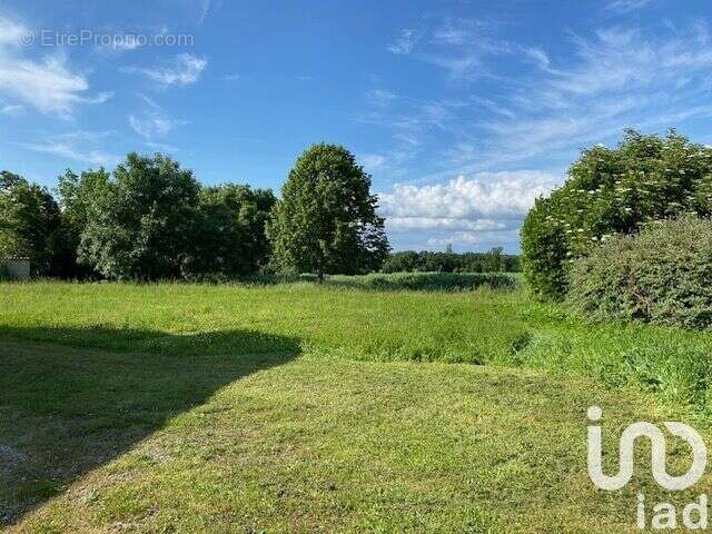 Photo 6 - Terrain à SAINT-MEDARD-D&#039;AUNIS