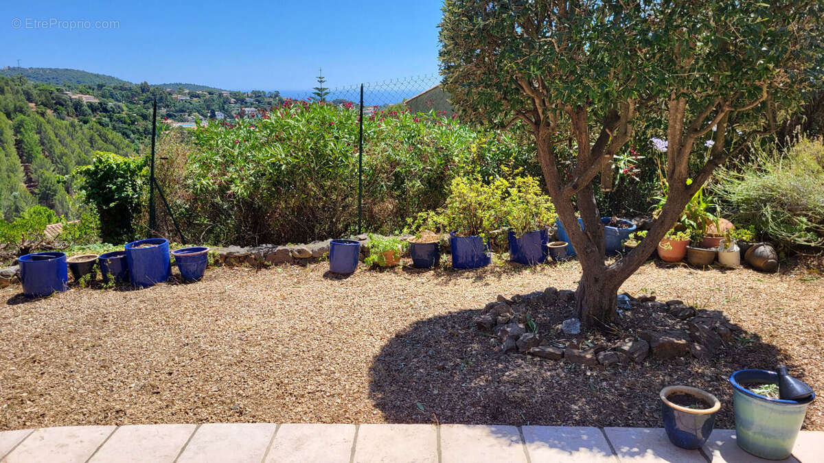 Maison à LES ISSAMBRES