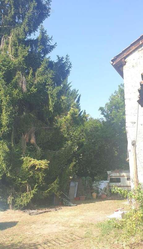 Maison à MONTREJEAU