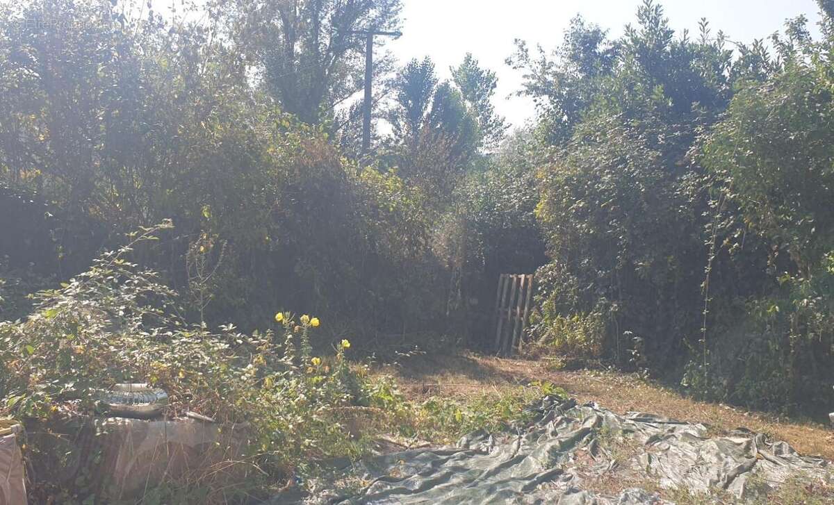 Maison à MONTREJEAU