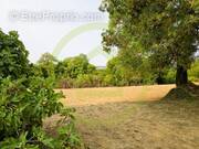 Terrain à SAINT-BONNET-SUR-GIRONDE