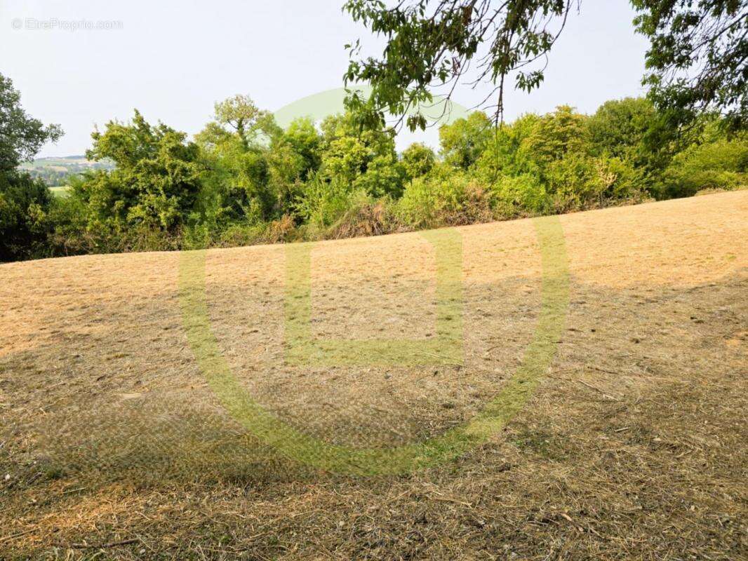 Terrain à SAINT-BONNET-SUR-GIRONDE