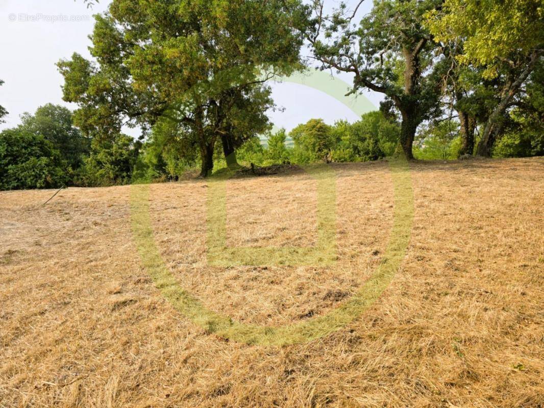 Terrain à SAINT-BONNET-SUR-GIRONDE