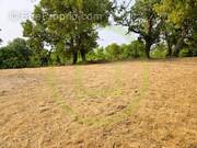 Terrain à SAINT-BONNET-SUR-GIRONDE