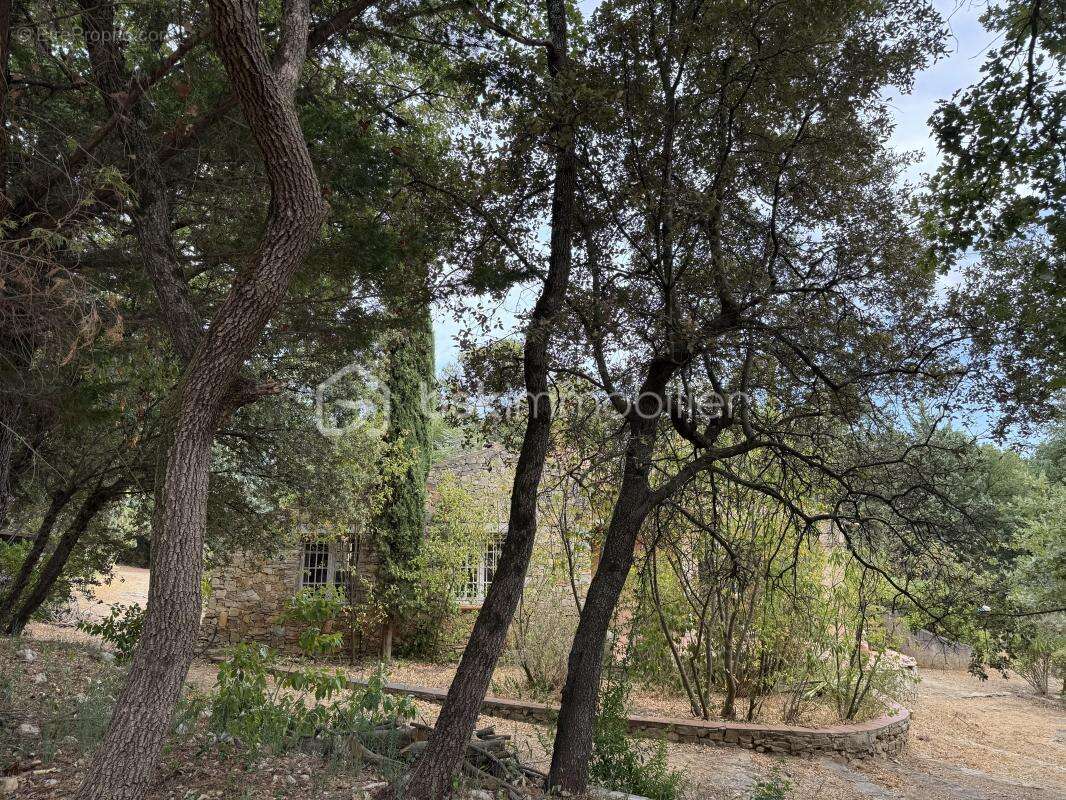 Maison à LA ROQUEBRUSSANNE