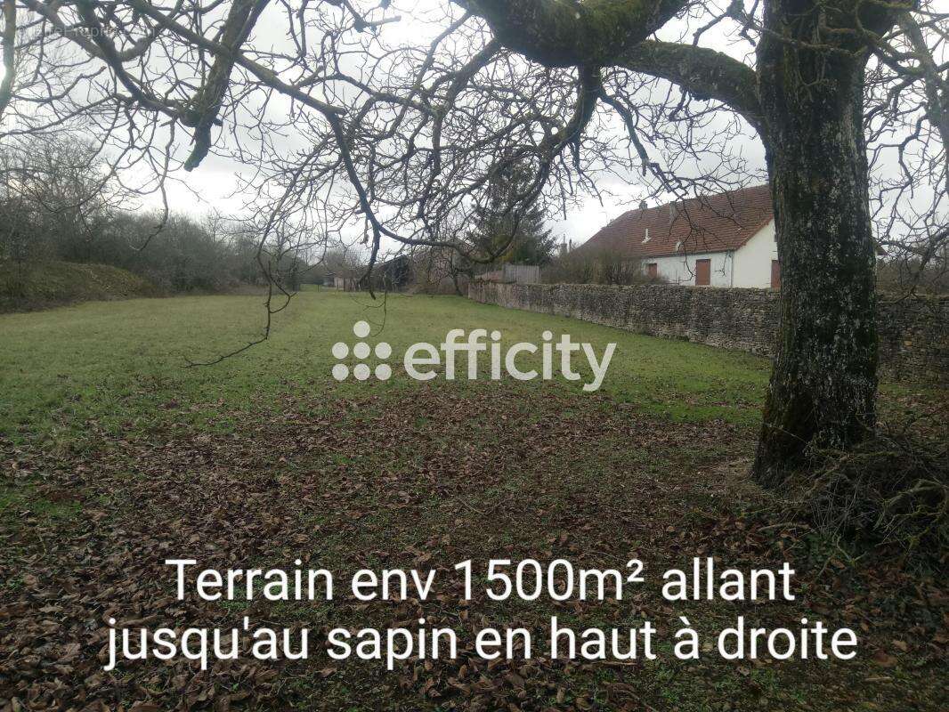 Maison à CHAMPLITTE