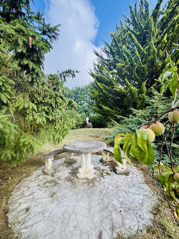 Maison à CHAILLY-EN-GATINAIS