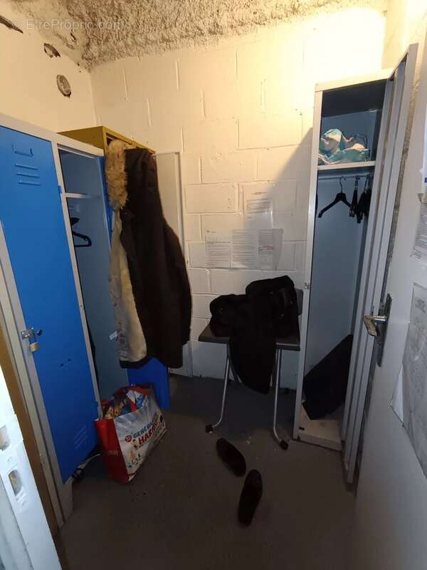 Commerce à SIN-LE-NOBLE