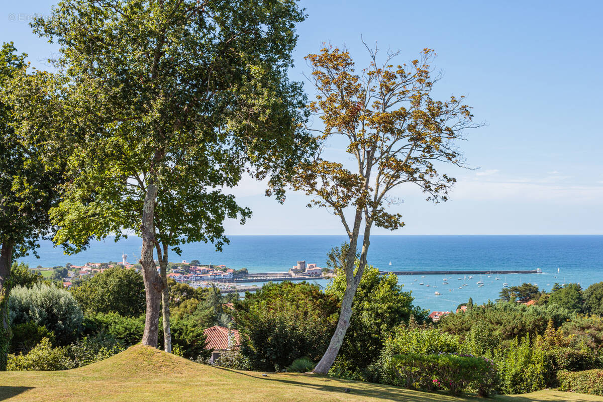 Appartement à CIBOURE
