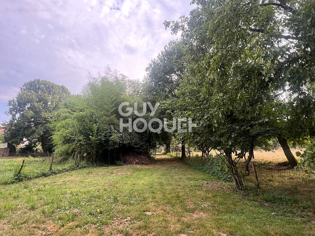 Maison à TOULON-SUR-ARROUX