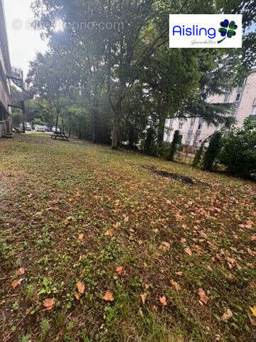 Commerce à JOUE-LES-TOURS