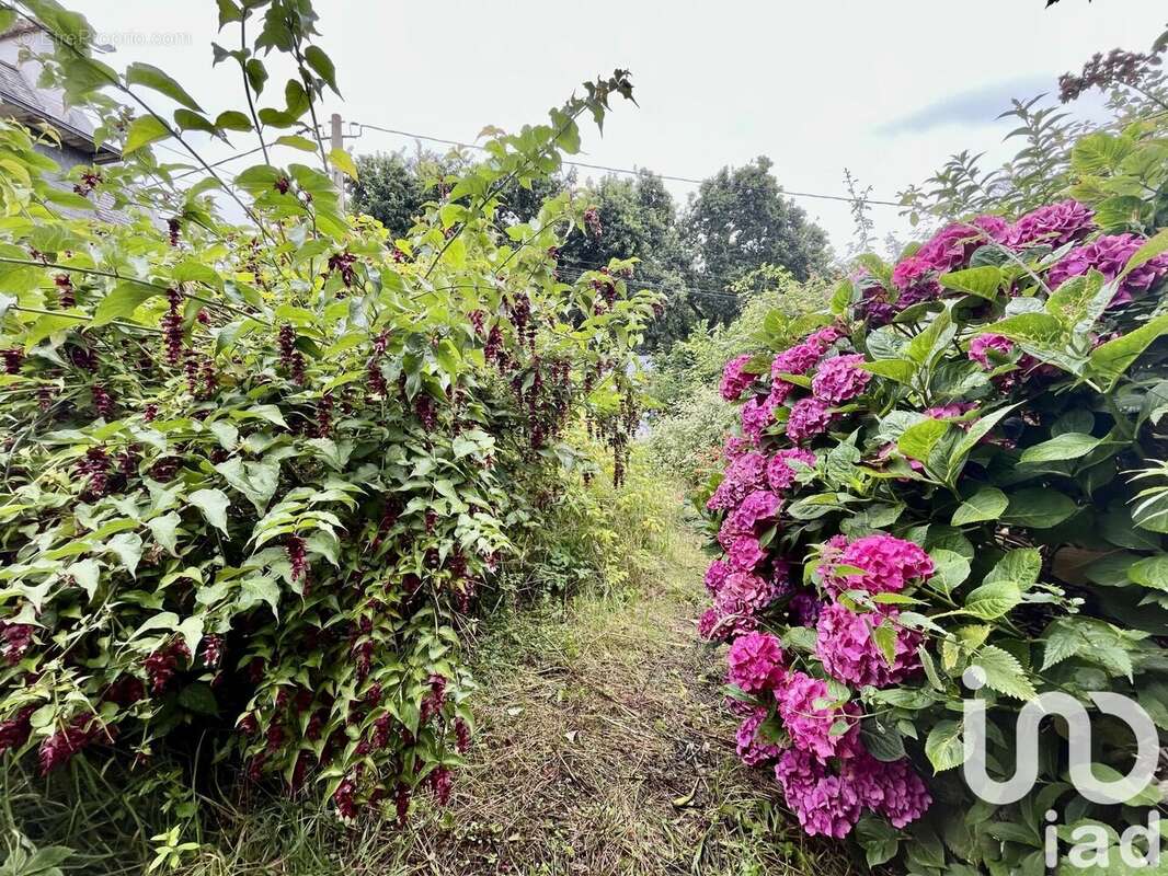 Photo 3 - Maison à PERROS-GUIREC