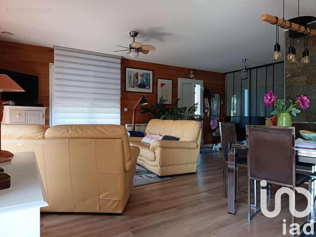 Photo 3 - Maison à CHOUZY-SUR-CISSE