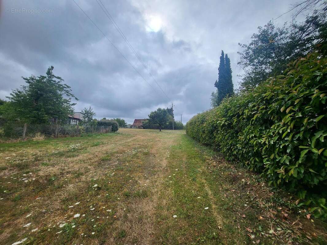 Photo 3 - Terrain à AINAY-LE-CHATEAU