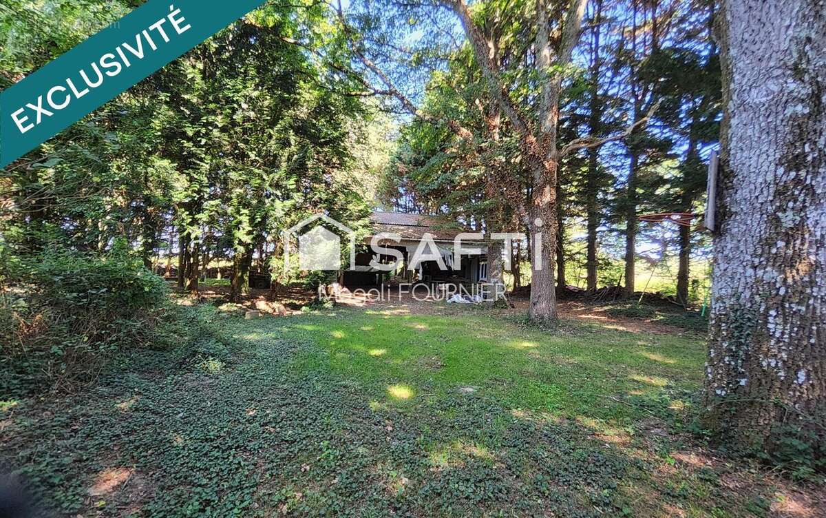 Photo 9 - Terrain à BALLOTS