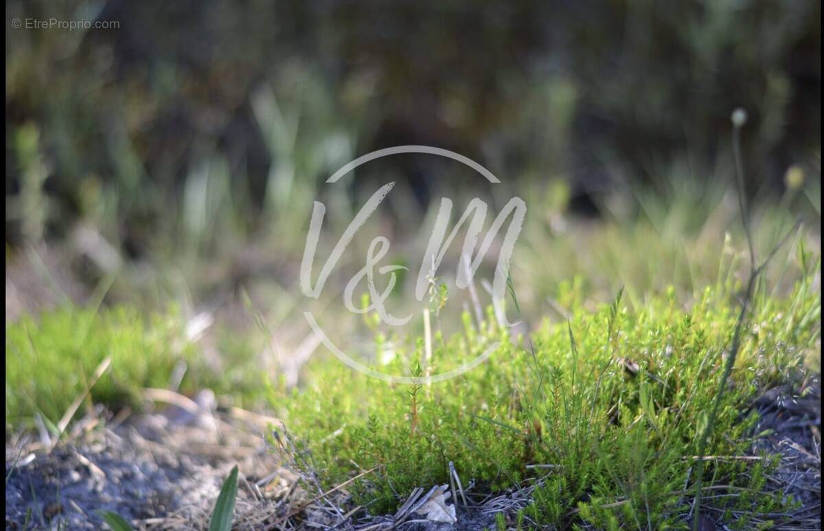 Terrain à ANDERNOS-LES-BAINS