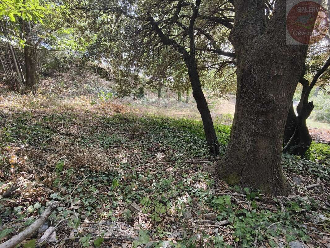 Terrain à MOISSAC-VALLEE-FRANCAISE