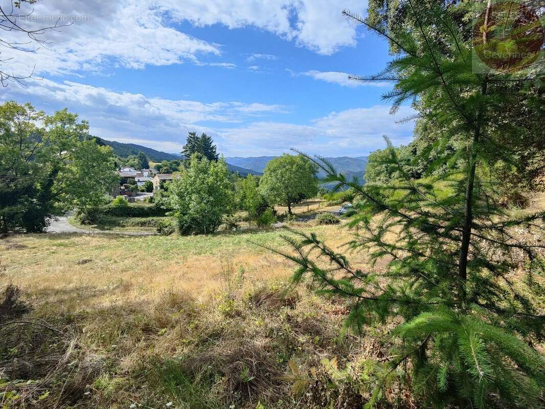 Terrain à MOISSAC-VALLEE-FRANCAISE